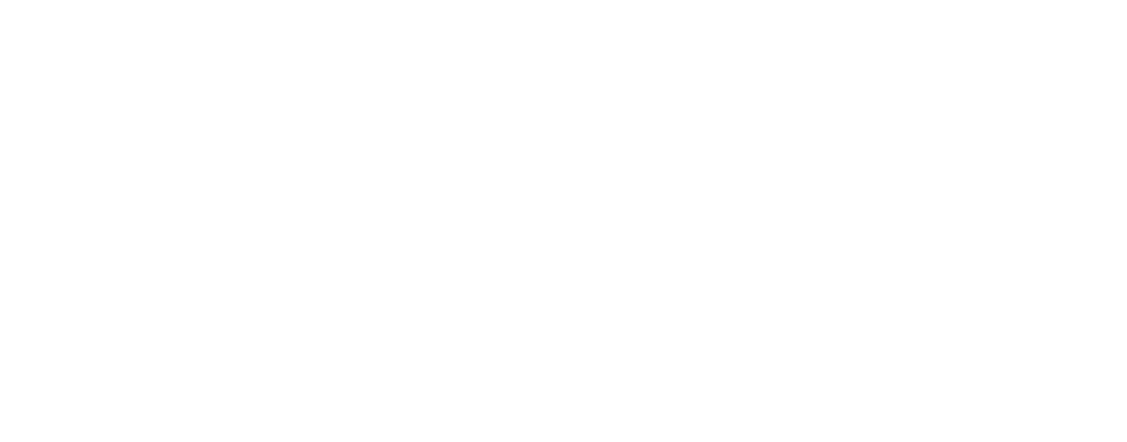 PVP New Energy